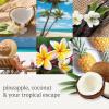 imageYankee Candle Car Air Fresheners Clean Cotton Scented Car Powered 12Volt Frangrance Diffuser 60 Days of FrangranceCoconut Beach