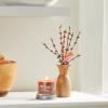 imageYankee Candle Kitchen Spice Scented Signature 20oz Large Jar 2Wick Candle Over 60 Hours of Burn TimeCinnamon Stick