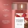 imageYankee Candle Kitchen Spice Scented Signature 20oz Large Jar 2Wick Candle Over 60 Hours of Burn TimeSparkling Cinnamon