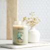 imageYankee Candle Large Jar Scented Candle with up to 150 Hour Burn Time Premium Plant Wax Blend for Consistent Burn 22 oz Jar Candle with Room Filling Fragrance Sage ampamp CitrusSage  Citrus