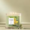 imageYankee Candle Large Jar Scented Candle with up to 150 Hour Burn Time Premium Plant Wax Blend for Consistent Burn 22 oz Jar Candle with Room Filling Fragrance Sage ampamp CitrusSage  Citrus