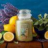 imageYankee Candle Large Jar Scented Candle with up to 150 Hour Burn Time Premium Plant Wax Blend for Consistent Burn 22 oz Jar Candle with Room Filling Fragrance Sage ampamp CitrusSage  Citrus