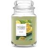 imageYankee Candle Large Jar Scented Candle with up to 150 Hour Burn Time Premium Plant Wax Blend for Consistent Burn 22 oz Jar Candle with Room Filling Fragrance Sage ampamp CitrusSage  Citrus