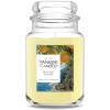 imageYankee Candle Large Jar Scented Candle with up to 150 Hour Burn Time Premium Plant Wax Blend for Consistent Burn 22 oz Jar Candle with Room Filling Fragrance Sage ampamp CitrusSicilian Lemon