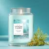 imageYankee Candle Mediterranean Breeze Scented Classic 22oz Large Jar Single Wick Candle Over 110 Hours of Burn Time ParaffinGrade WaxCatching Rays
