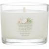 imageYankee Candle Minis Jar Zen Oasis Variety Pack 4 ct Variety PackSweet Serenity
