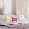 imageYankee Candle Minis Jar Zen Oasis Variety Pack 4 ct Variety PackSweet Serenity
