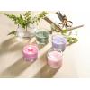 imageYankee Candle Minis Jar Zen Oasis Variety Pack 4 ct Variety PackZen Oasis