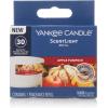 imageYankee Candle ScentLight Refill  Clean CottonApple Pumpkin