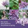 imageYankee Candle ScentLight Refill  Clean CottonLilac Blossoms