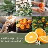 imageYankee Candle ScentLight Refill  Clean CottonSage  Citrus