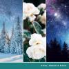 imageYankee Candle Scented Candle Winter Night Stars Large Jar Candle Snow Globe Wonderland Collection Burn Time up to 150 HoursWinter Night Stars