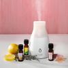 imageYankee Candle Ultrasonic Aroma Diffuser  Essential Oil Diffuser with 10 Color Lights Great for Aroma Therapy Up to 4 Hours of Continuous Mist05 Fl Oz Pack of 1
