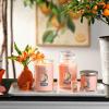 imageYankee Candle Vanilla Cupcake Scented Classic 22oz Large Jar Single Wick Candle Over 110 Hours of Burn Time Ideal for Creating Relaxing Ambience ampamp Holiday GiftingTangerine  Vanilla
