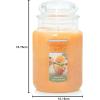 imageYankee Candle Vanilla Cupcake Scented Classic 22oz Large Jar Single Wick Candle Over 110 Hours of Burn Time Ideal for Creating Relaxing Ambience ampamp Holiday GiftingMango Ice Cream