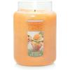 imageYankee Candle Vanilla Cupcake Scented Classic 22oz Large Jar Single Wick Candle Over 110 Hours of Burn Time Ideal for Creating Relaxing Ambience ampamp Holiday GiftingMango Ice Cream