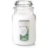 White Gardenia