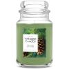 imageYankee Candle Balsam ampamp Cedar Scented Classic 22oz Large Jar Single Wick Candle Over 110 Hours of Burn Time Ideal Holiday GiftBalsam  Cedar