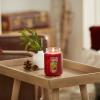 imageYankee Candle Balsam ampamp Cedar Scented Classic 22oz Large Jar Single Wick Candle Over 110 Hours of Burn Time Ideal Holiday GiftRed Apple Wreath