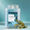 imageYankee Candle Balsam ampamp Cedar Scented Classic 22oz Large Jar Single Wick Candle Over 110 Hours of Burn Time Ideal Holiday GiftWinter Night Stars