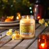 imageYankee Candle Large Jar Candle PurpleFlowers in the Sun