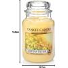 imageYankee Candle Large Jar Candle PurpleFlowers in the Sun