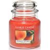 imageYankee Candle Large Jar Candle PurpleOrange Splash