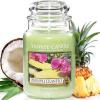 imageYankee Candle Large Jar Candle PurplePineapple Cilantro