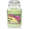 imageYankee Candle Large Jar Candle PurplePineapple Cilantro