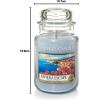 imageYankee Candle Large Jar Candle PurpleRiviera Escape