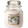imageYankee Candle Large Jar Candle PurpleSea Salt and Sage