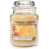 imageYankee Candle Large Jar Candle PurpleStar Anise and Orange
