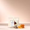 imageYankee Candle Large Tumbler Scented Candle with up to 80 Hour Burn Time Premium Plant Wax Blend for Consistent Burn 20 oz Tumbler Candle with Room Filling Fragrance Vanilla Crme BrleVanilla Crme Brle
