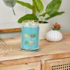 imageYankee Candle Macintosh Scented Signature 20oz Large Jar 2Wick Candle Over 60 Hours of Burn TimeBahama Breeze