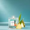 imageYankee Candle Macintosh Scented Signature 20oz Large Jar 2Wick Candle Over 60 Hours of Burn TimeBahama Breeze