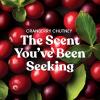 imageYankee Candle Macintosh Scented Signature 20oz Large Jar 2Wick Candle Over 60 Hours of Burn TimeCranberry Chutney