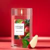 imageYankee Candle Macintosh Scented Signature 20oz Large Jar 2Wick Candle Over 60 Hours of Burn TimeMacintosh