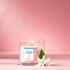 imageYankee Candle Macintosh Scented Signature 20oz Large Jar 2Wick Candle Over 60 Hours of Burn TimePink Sands