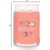 imageYankee Candle Macintosh Scented Signature 20oz Large Jar 2Wick Candle Over 60 Hours of Burn TimeWhite Strawberry Bellini