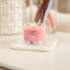 imageYankee Candle Mini Jar 13 Ounce Pack of 6 Pink SandsArt in the Park