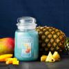 imageYankee Candle Pink Sands Scented Classic 22oz Large Jar Single Wick Candle Over 110 Hours of Burn Time Perfect for Creating Relaxing AtmosphereBahama Breeze