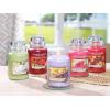 imageYankee Candle Pink Sands Scented Classic 22oz Large Jar Single Wick Candle Over 110 Hours of Burn Time Perfect for Creating Relaxing AtmosphereBlack Cherry