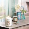 imageYankee Candle Pink Sands Scented Classic 22oz Large Jar Single Wick Candle Over 110 Hours of Burn Time Perfect for Creating Relaxing AtmosphereCoconut Beach