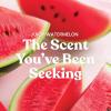 imageYankee Candle Pink Sands Scented Classic 22oz Large Jar Single Wick Candle Over 110 Hours of Burn Time Perfect for Creating Relaxing AtmosphereJuicy Watermelon