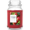 imageYankee Candle Pink Sands Scented Classic 22oz Large Jar Single Wick Candle Over 110 Hours of Burn Time Perfect for Creating Relaxing AtmosphereMacintosh
