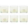imageYankee Candle Signature Votive Mini Candle Jar Balsam ampamp Cedar Scent Natural Soy Wax Blend Candle with Natural Fiber Wick 13 OZ Glass Jar Pack of 6White Spruce  Grapefruit