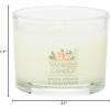 imageYankee Candle Signature Votive Mini Candle Jar Balsam ampamp Cedar Scent Natural Soy Wax Blend Candle with Natural Fiber Wick 13 OZ Glass Jar Pack of 6White Spruce  Grapefruit