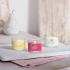 imageYankee Candle Signature Votive Mini Candle Jar Pumpkin Banana Scone Scent Natural Soy Wax Blend Candle with Natural Fiber Wick 13 OZ Glass Jar Pack of 12Vanilla Cupcake