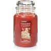 Sugared Cinnamon Apple