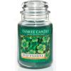 imageYankee Candle Large Jar 22 oz quotLucky Shamrockquot